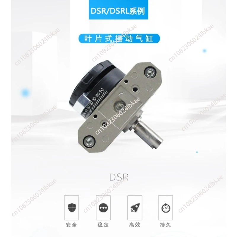 Swing Cylinder DSRL… - image