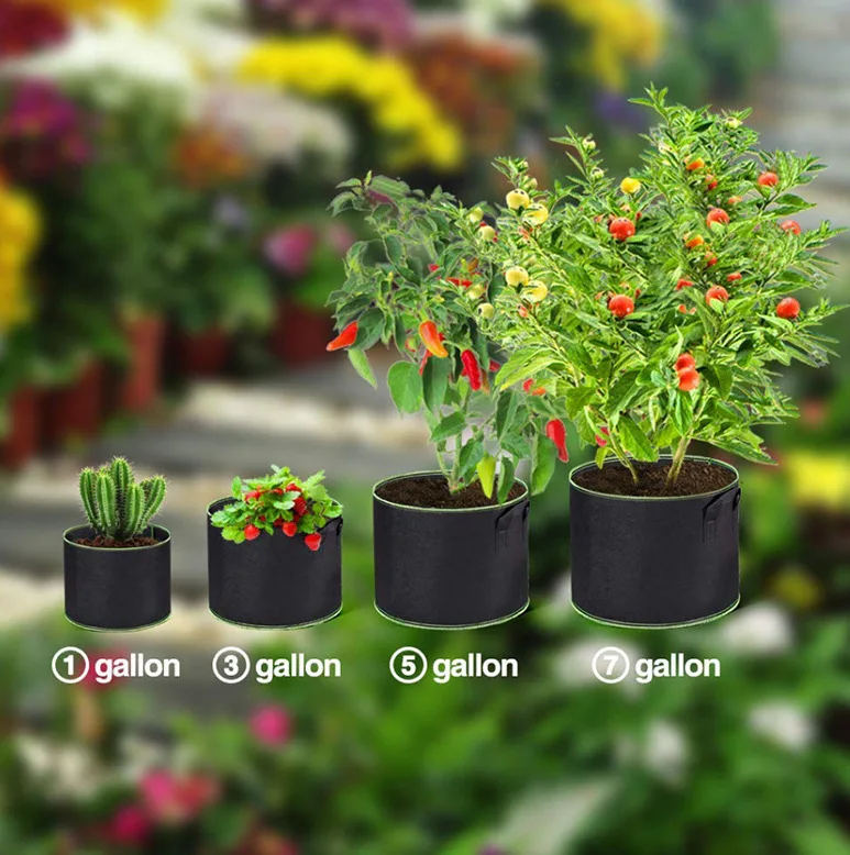 Jardinagem Feltro Crescer Sacos, Tecido Grow Pot, Tomate Vegetal, Plantador de tomate, Jardim Potato Planting Pots, 3 galões, 4 galões, 5 galões, 7