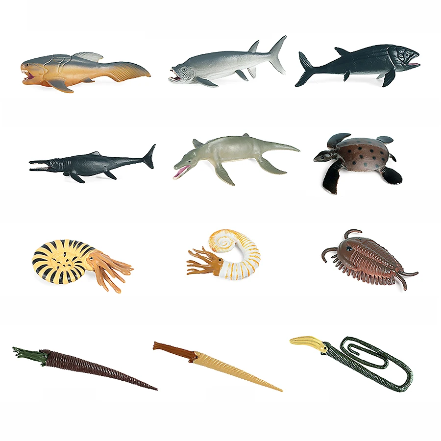 12 PCS Realistic Mini Ancient Marine Animal Model Figures Prehistoric Cambrian Sea Creature Figurines Educational Science set