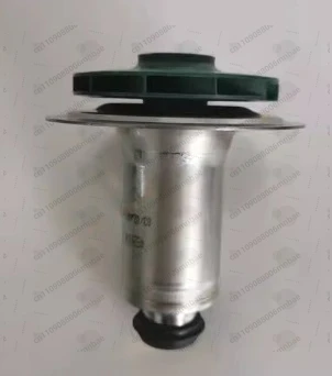 Gas Boiler Spare Part Circulation Pump Motor Rotor/Water Leaves for Protherm INTVACL15/5-2