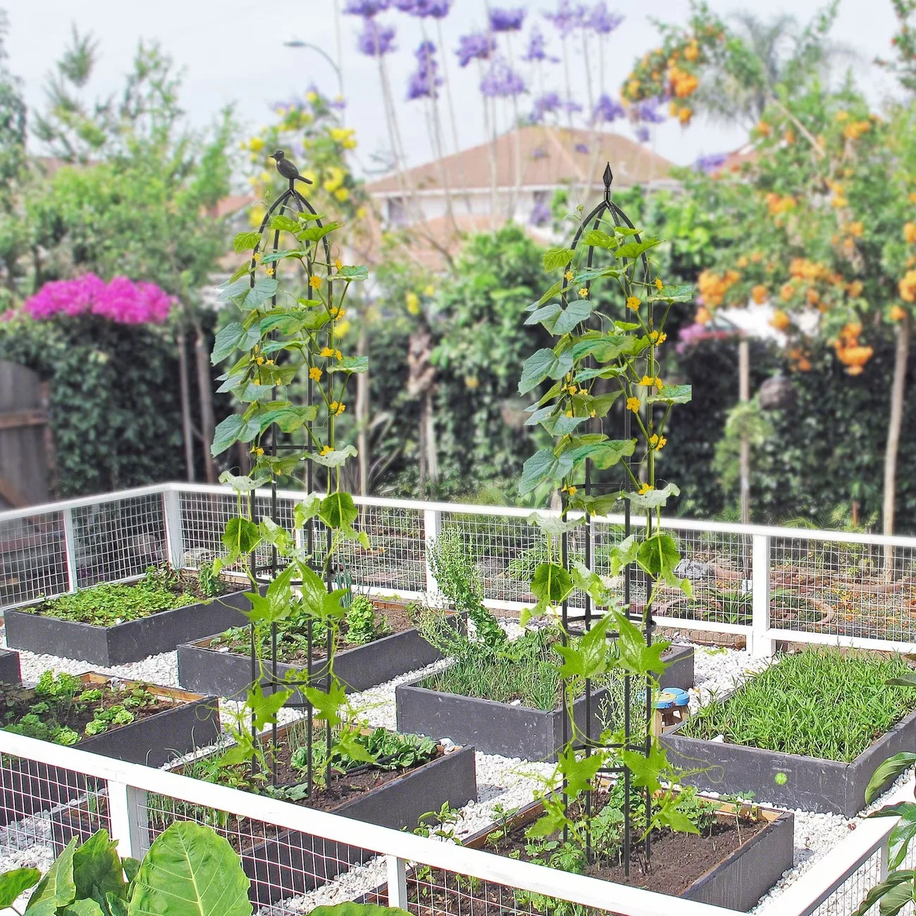 Garden Obelisk Plant Supports For Garden, Tower Obelisks 150Cm U-Shaped Climbing Plant Support Rustproof Pea Frame Tomato Cage