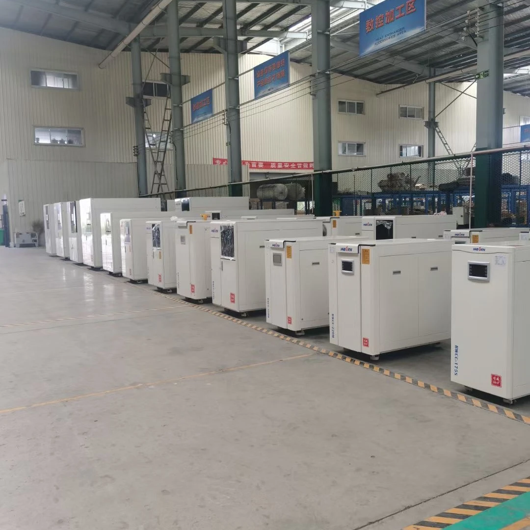 Bowei Low Pressure Condensing Horizontal Style Gas Hot Water Heating Boilers with  Replace Coal Diesel