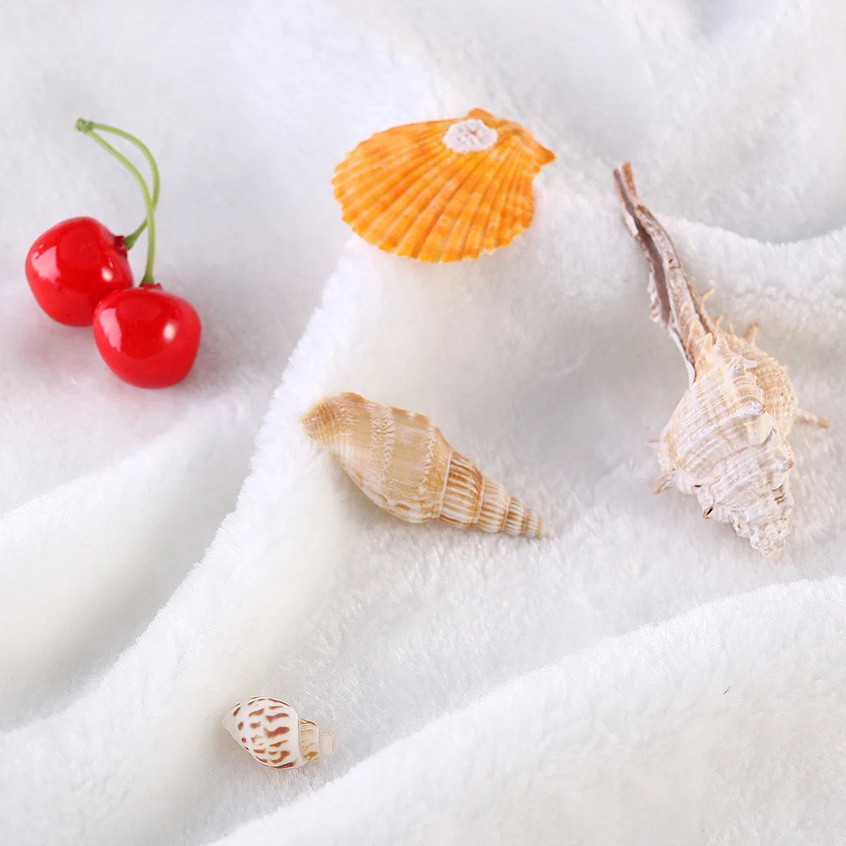 

300 Shells for Decorating Aquarium Decorations Beach Mixed Seashells Ocean Themed