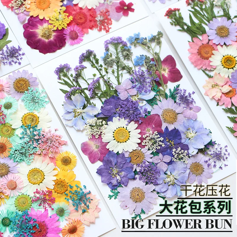 

Handmade Photo Frame Bookmark Resin Phone Case Colorful Embossing Material Pack Beauty Face Stickers Combination Pack Decorative Dried Flower Embossing DIY