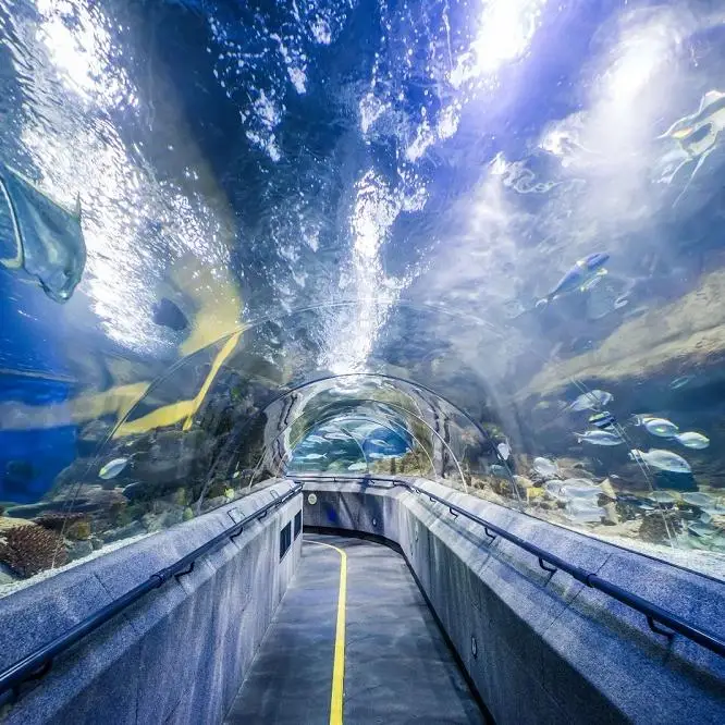 Softwarelizenzen: Alles, was Sie über Rechte und Nutzung wissen müssen