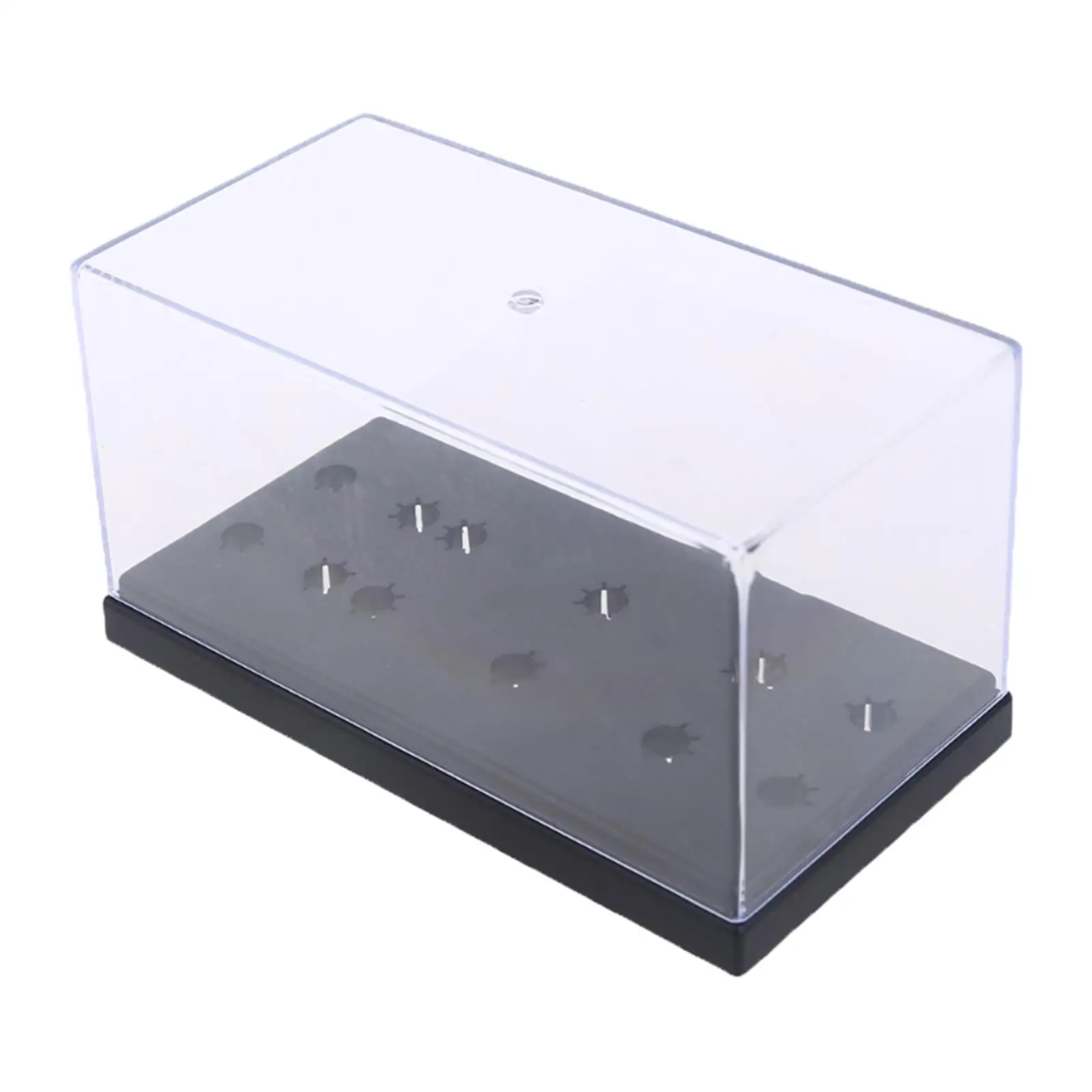 Universal Headshell Box for Turntable Needle Display Case PP Material Durable Storage Keeper