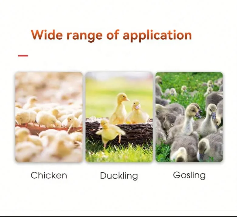 Fully Automatic Poultry Beak Cutter Machine Chicken Mouth Duck Debeaking Equipment