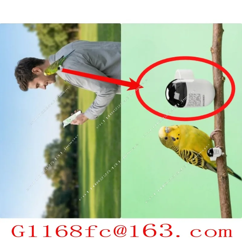 Used for Daily Training Locator of Racing Pigeons Professional and Accurate GPS Ring Speed Data Analysis Function