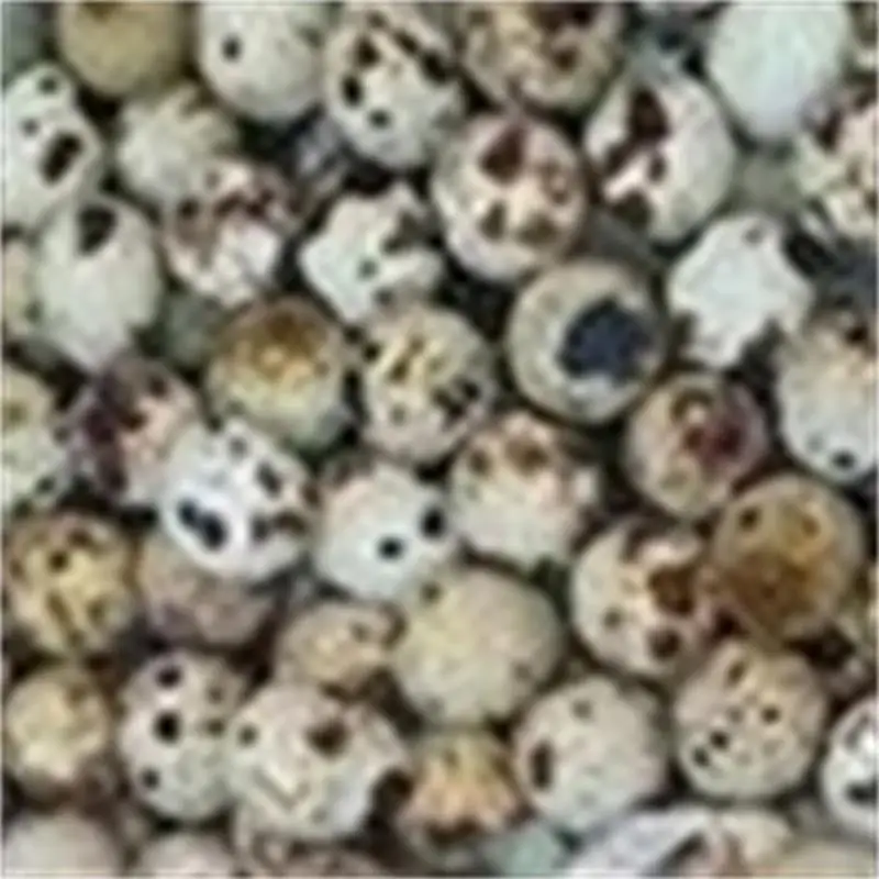 Jz Manual Quail Eggs Peeling Machine Peeling Machine