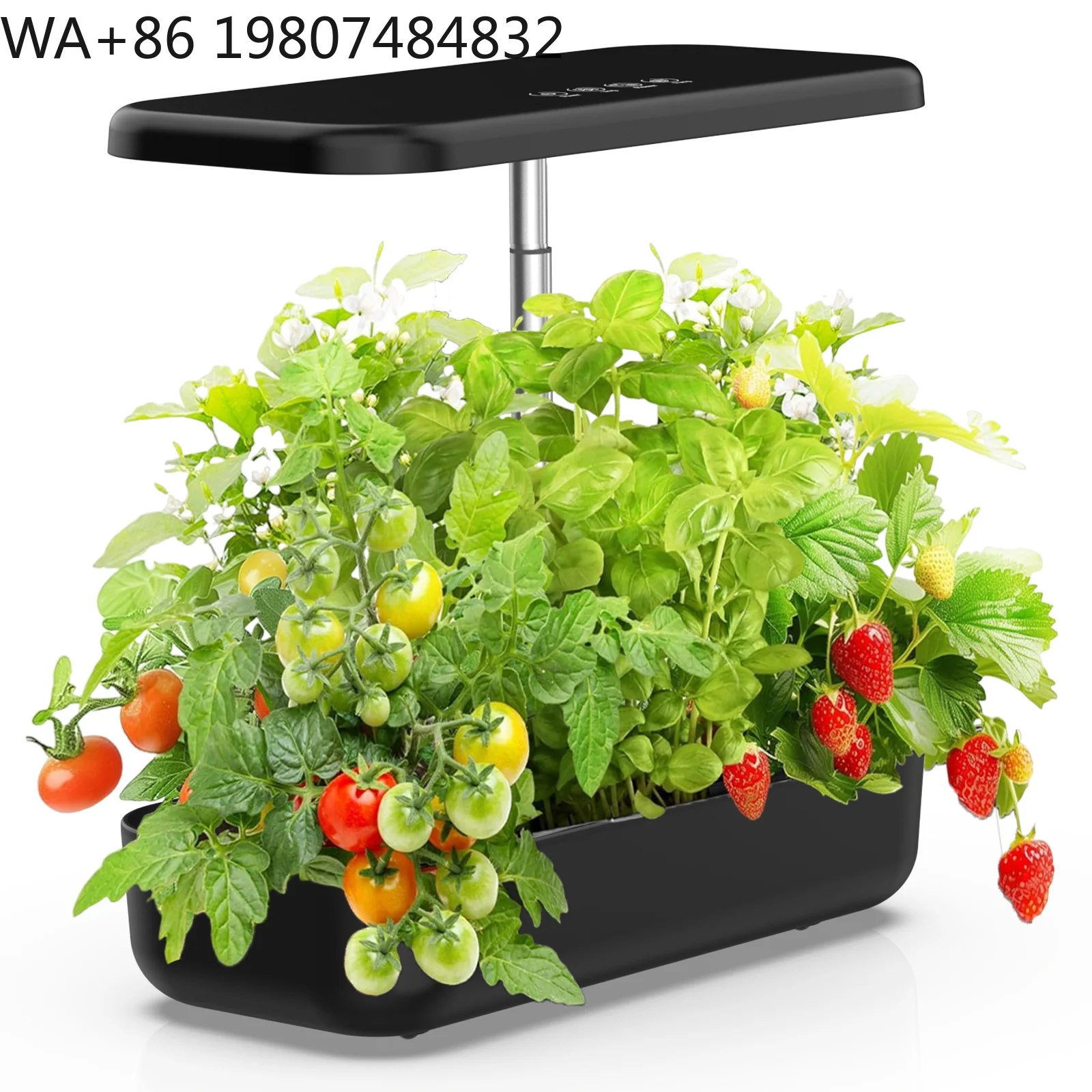 Height Adjustable LED Fill Light Soilless Cultivation Pot Automatic Circulation  Kitchen Balcony Herb Vegetable Hydroponic