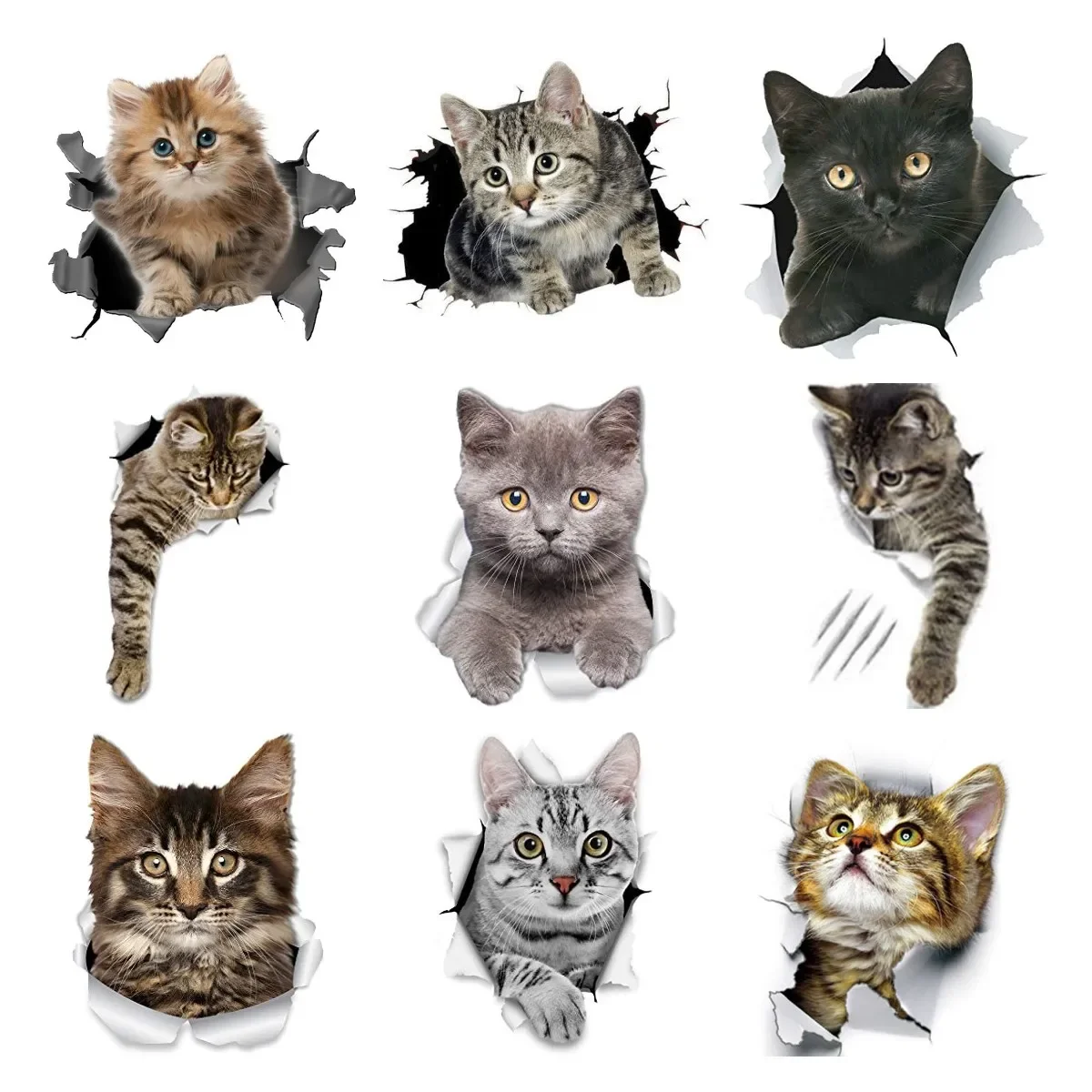 Shorthair Cat Wall Sticker Lover Gifts Surfboard Car Styling Motorcycle Bike Waterproof Decal Decoration