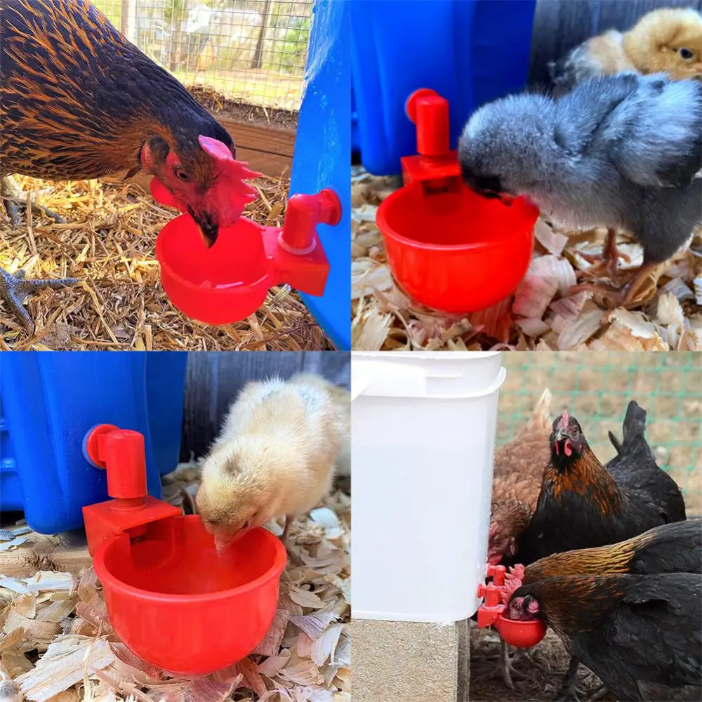 Automatic Chicken Water Cup Plastic Poultry Waterer Creative Pet Accessories Chicken Water Dispenser For Chicks Duck Goose Quail