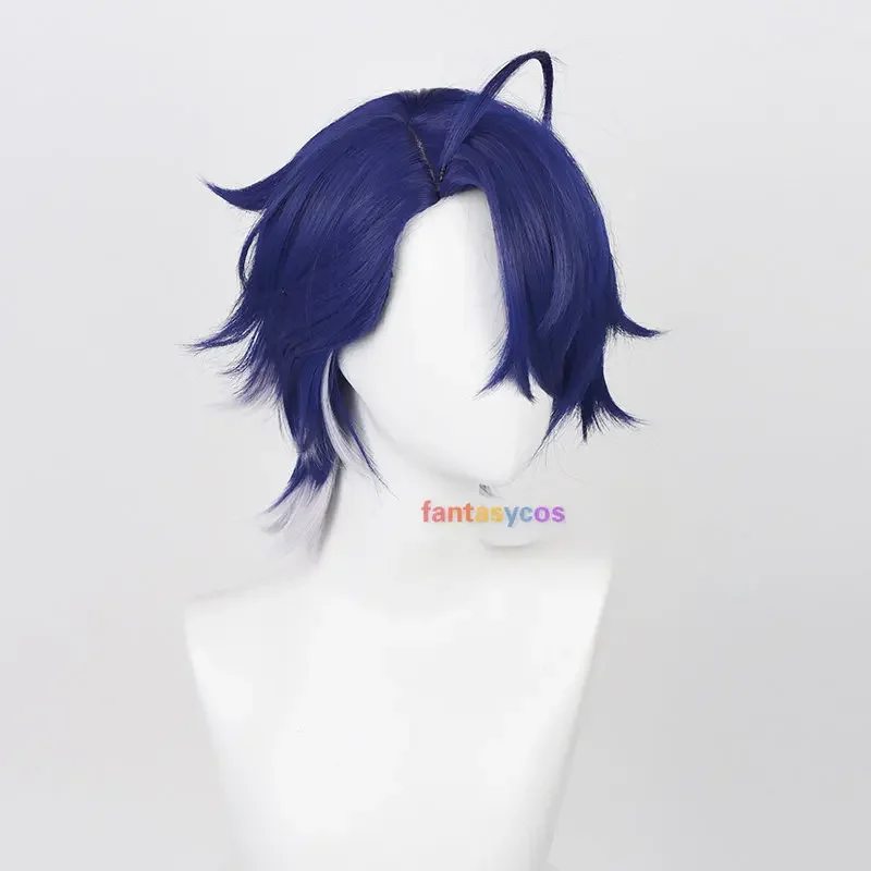 Honkai: Star Rail Sampo Koski Cosplay Pruik 35Cm Blauw Wit Gemengd Korte Mannen Pruiken Hittebestendig Synthetisch Haar Halloween Rollenspel