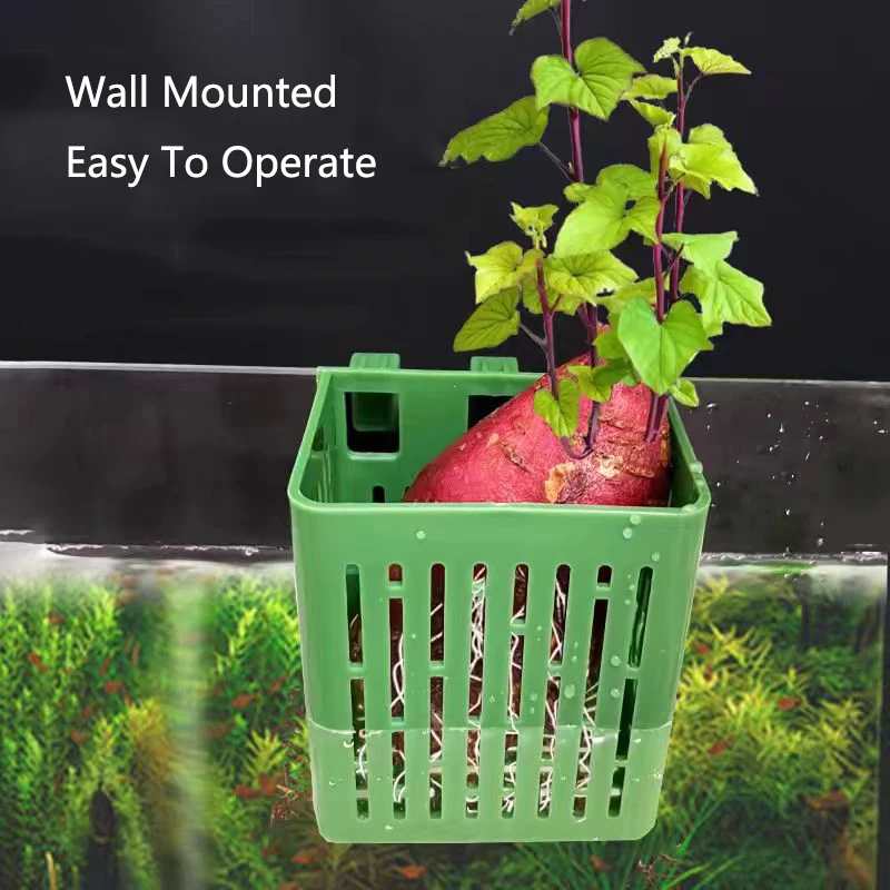 Aquatic Plant Holder Wall Hanging Flower Pots Aquarium Planting Basket Hydroponic Support Hangable Fish Tank Water Grass Cup