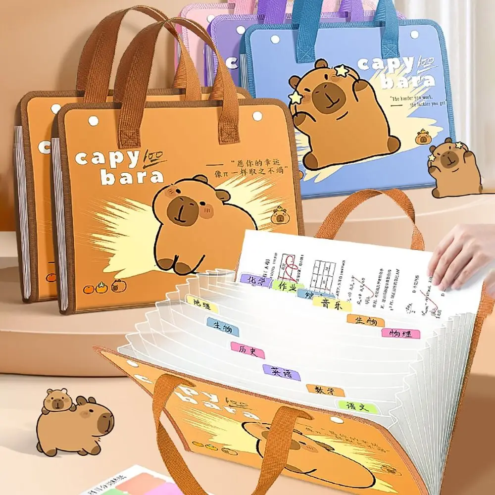Cute Capybara A4 File Folder Large Capacity Waterproof Test Paper Storage Folder 13 Pockets Cartoon File Organizer Students