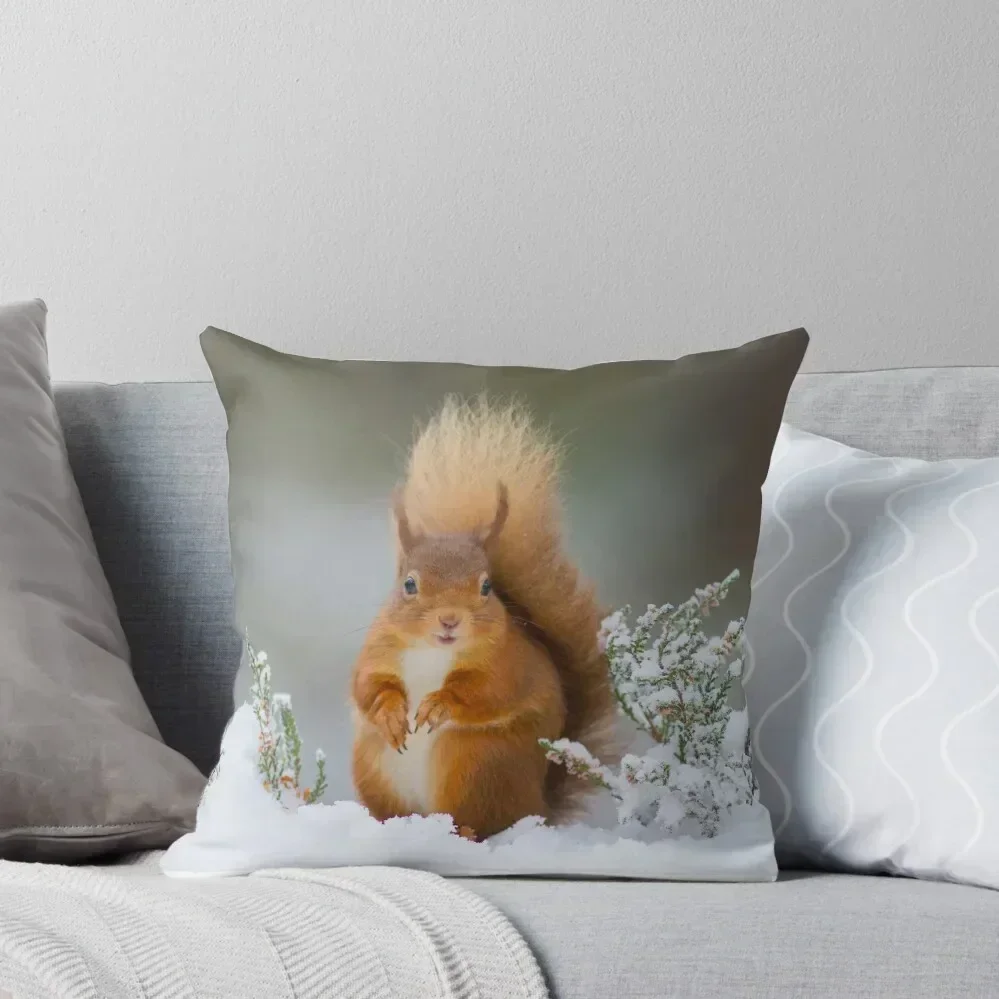 

Red squirrel in winter Throw Pillow Sofa Cushions Covers Cushion Cover For Sofa autumn decoration pillow
