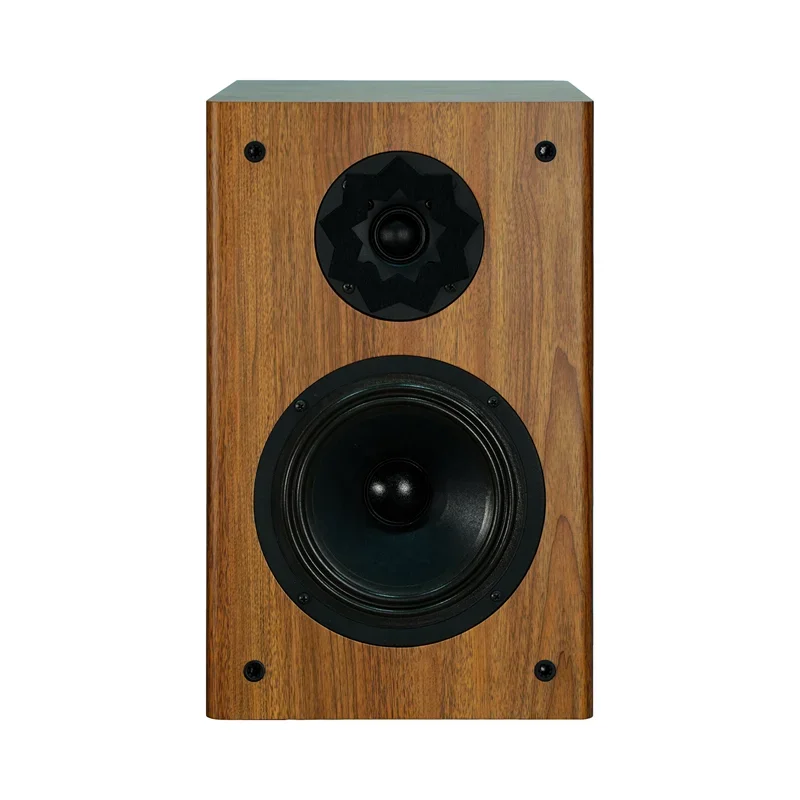 AVplay-B-65 de película de seda de 6,5 pulgadas, altavoz HiFi para estantería, sensibilidad de madera maciza Real, 89dB, 6ohm/10-100W, 30MM