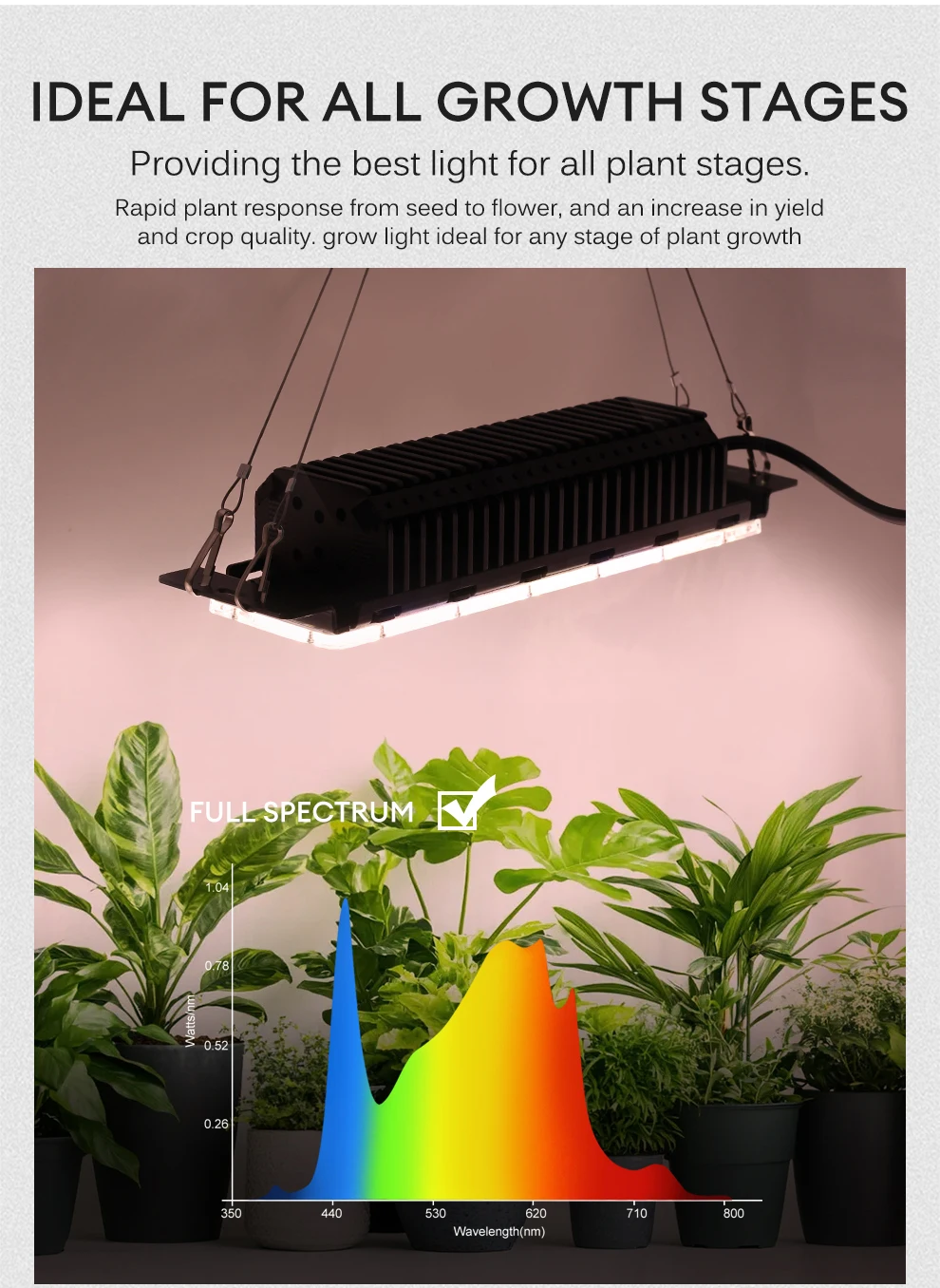 50W LM281B Vollspektrum-Quantum-Board LED-Pflanzenlampe AC110/220V mit Treiberschalter für Gewächshaus-Hydrokulturpflanzen – Detail 4