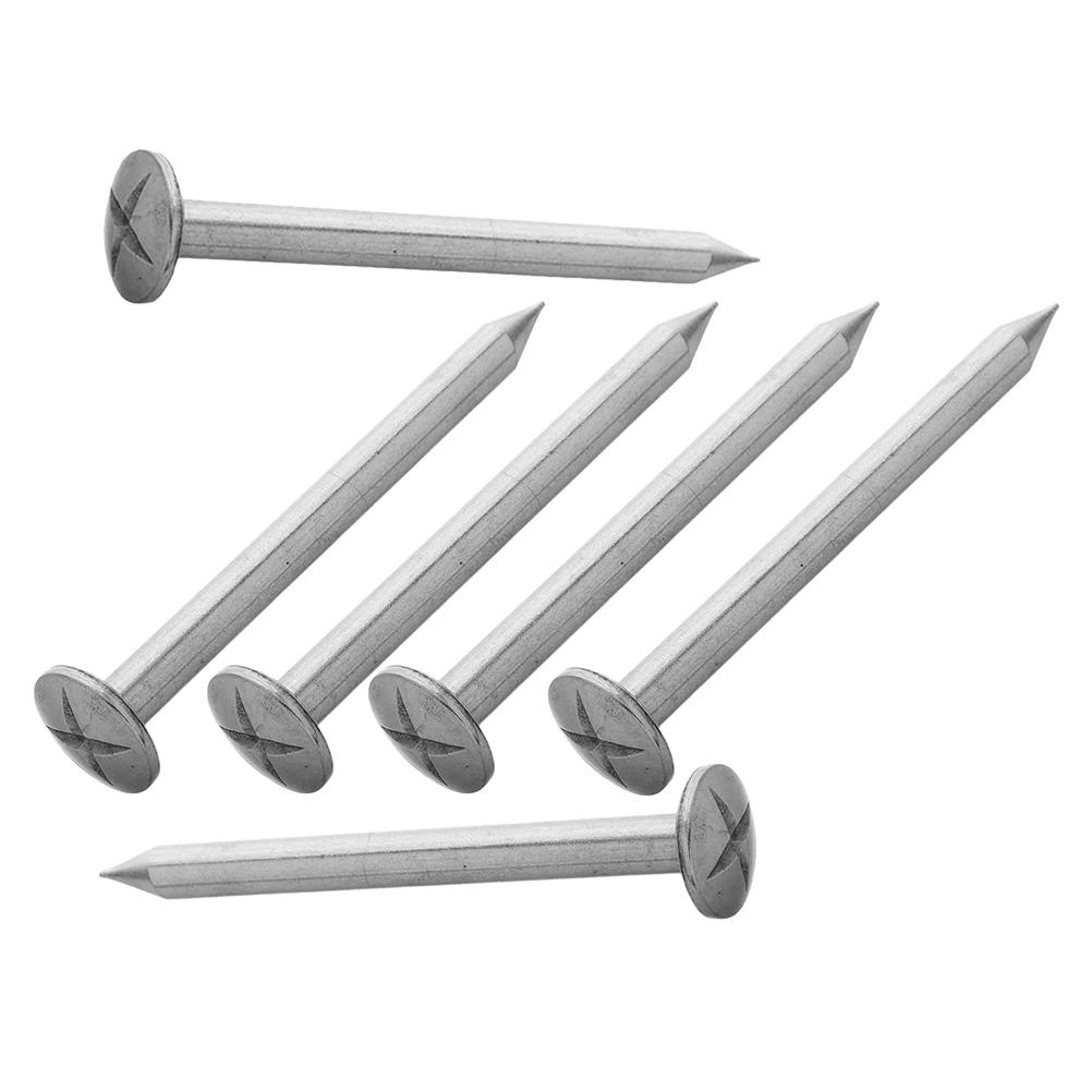 

6pcs Stainless Steel Survey Markers Durable Corrosion Resistant Lawn Edging Fence Picket Nail Short Silver Low for Construction
