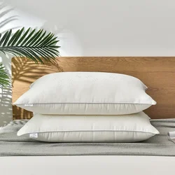 Mulberry Silk Bedding Pillows 48*74 1100 Grams Natural Silk Filling Jacquard Anti Mite Soft Fluffy Hotel Neck Sleeping Pillows