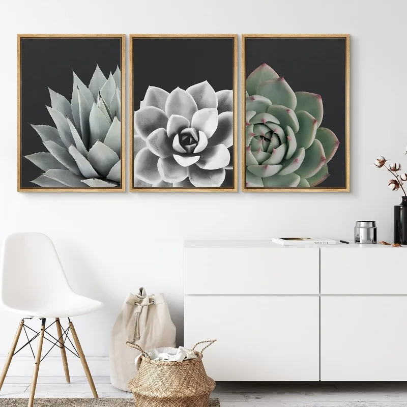 Succulent Set Nature Plants Photography Modern Art Closeup Relax/Calm Dark Black and White for Living Room - 16