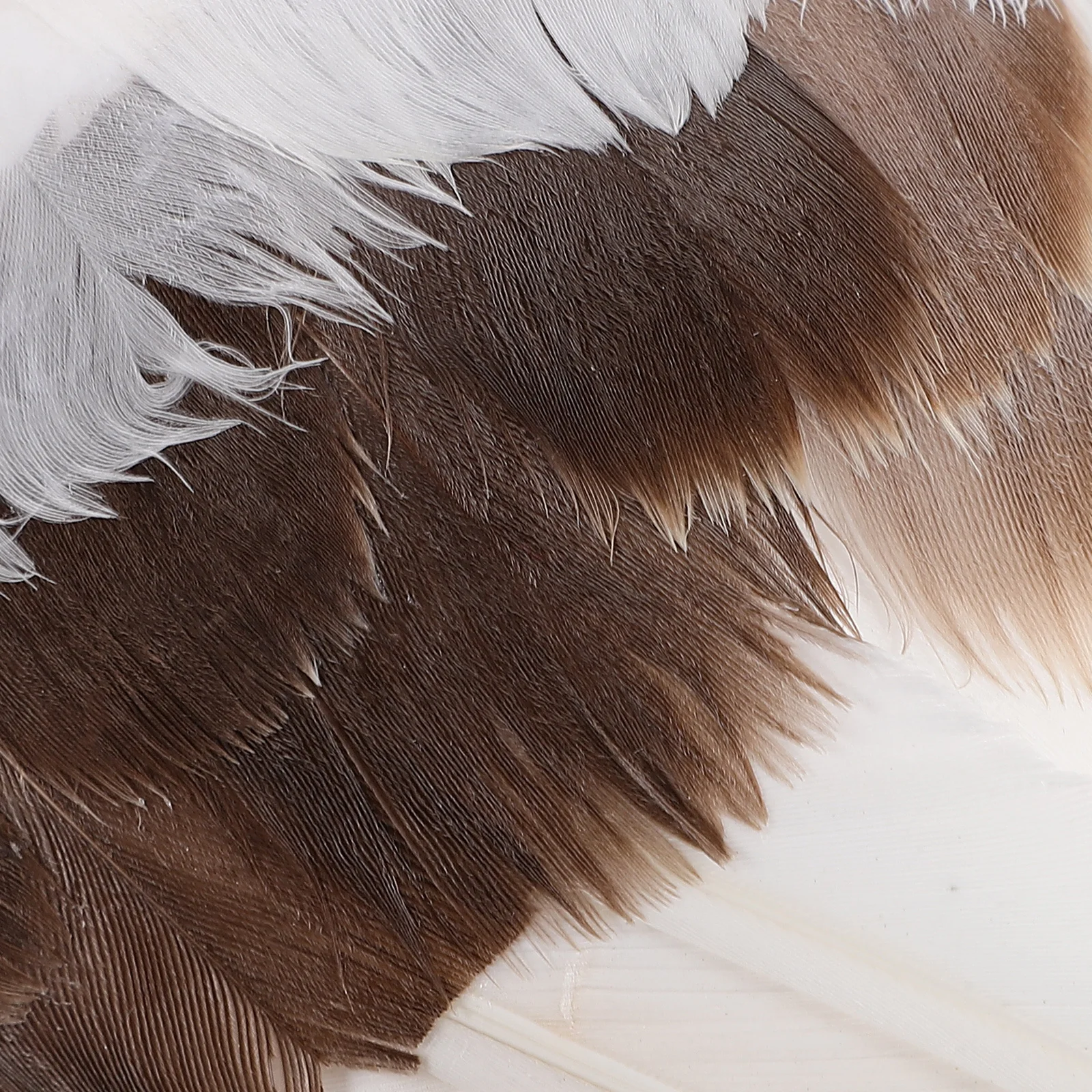 

Маленькая имитация чайки, статуя морской птицы для дома, настольного украшения сада, морской прибрежный орнамент, фигурки животных