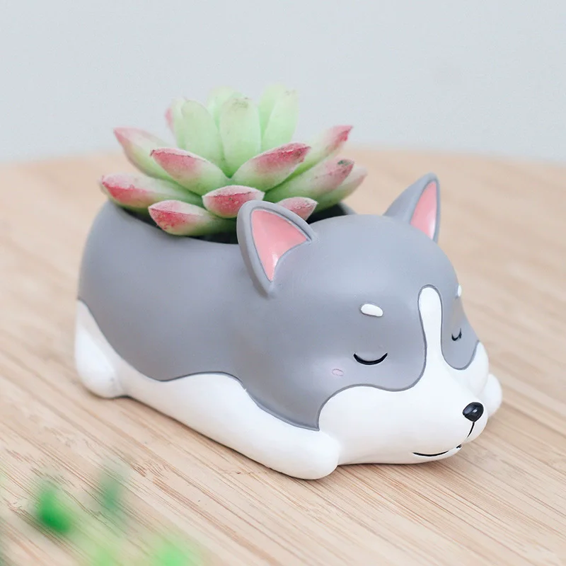 

Cute puppy Corgi grow succulents to decorate dog pot container Mini bonsai home tabletop decoration