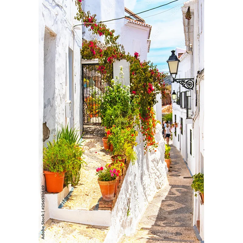 Paisaje de Isla de mar de flores y plantas verdes, casa antigua, pigmento blanco, Fondo de fotografía de boda, utilería LJD-04