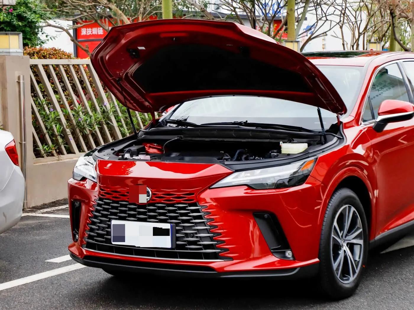 

2PC Hood Damper For 2022-2025 Lexus RX RX350 RX450h RX500 ALA10/ALH10 MK5 Front Bonnet Gas Struts Lift Support Shock Piston Rods