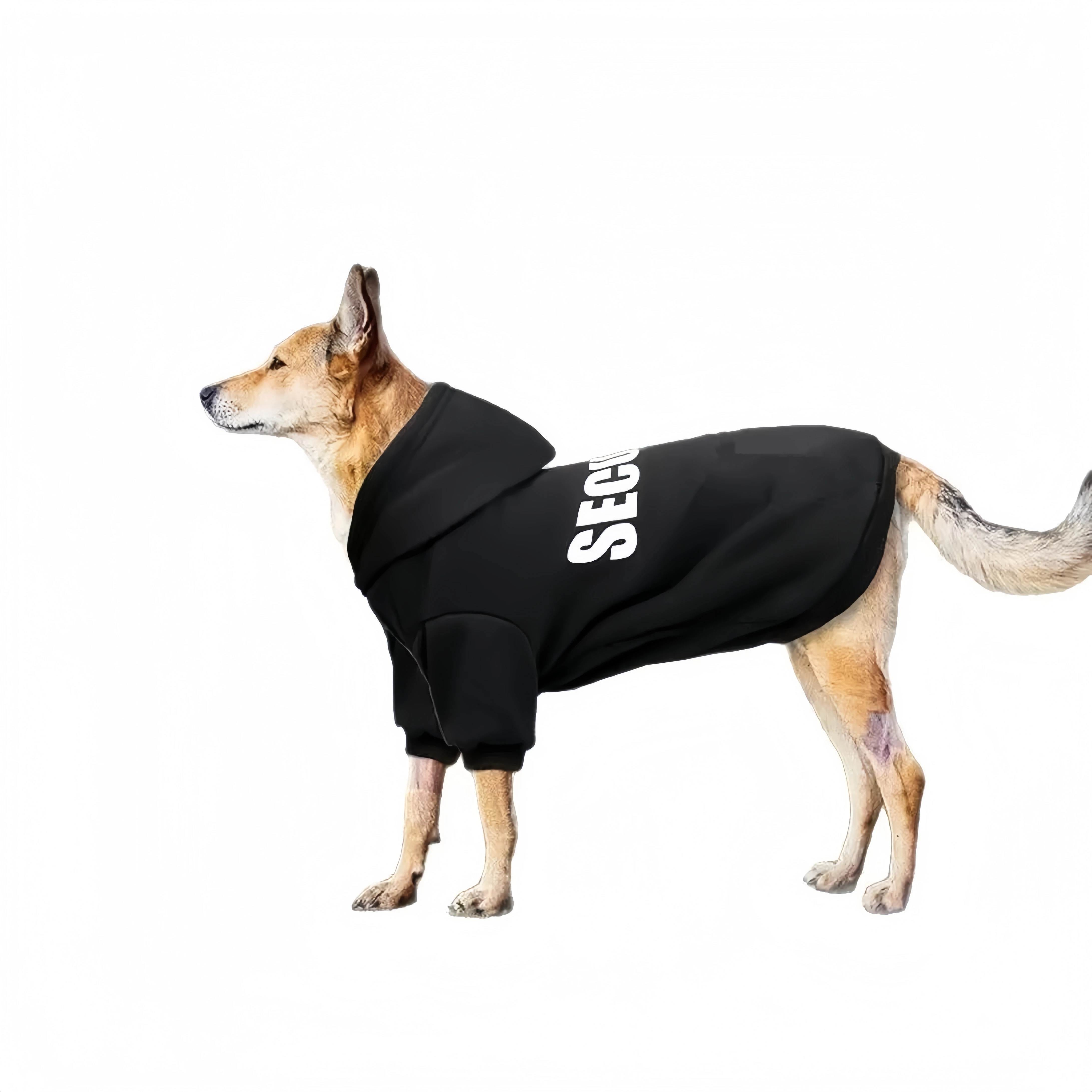 Thumbnail 3 - #10 Highest Rated Pet Winter Clothing to Buy in 2026