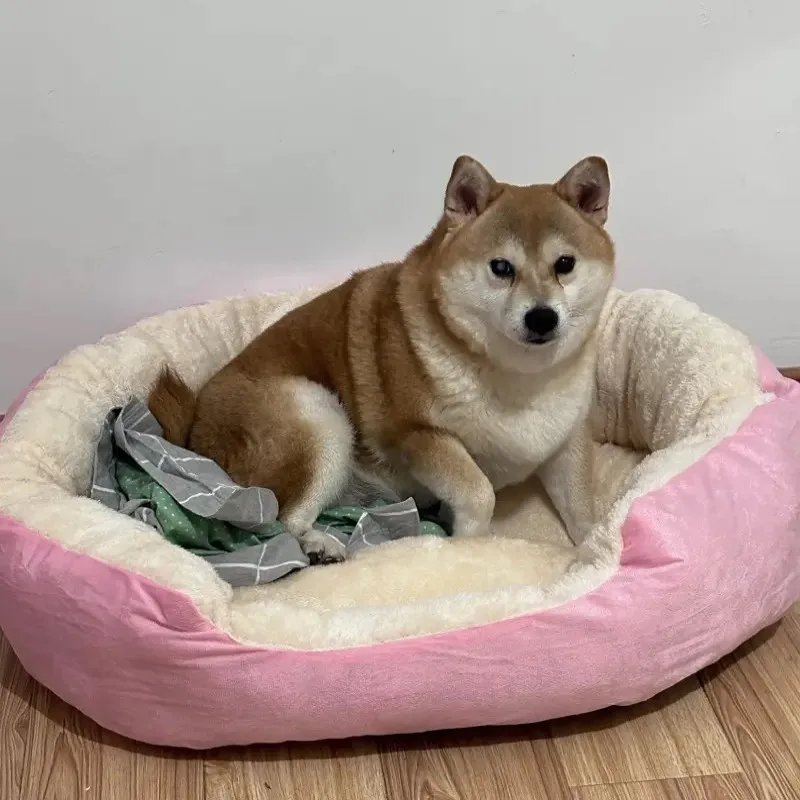 Thumbnail 3 - #27 Dog Sofa Beds List of Top Picks