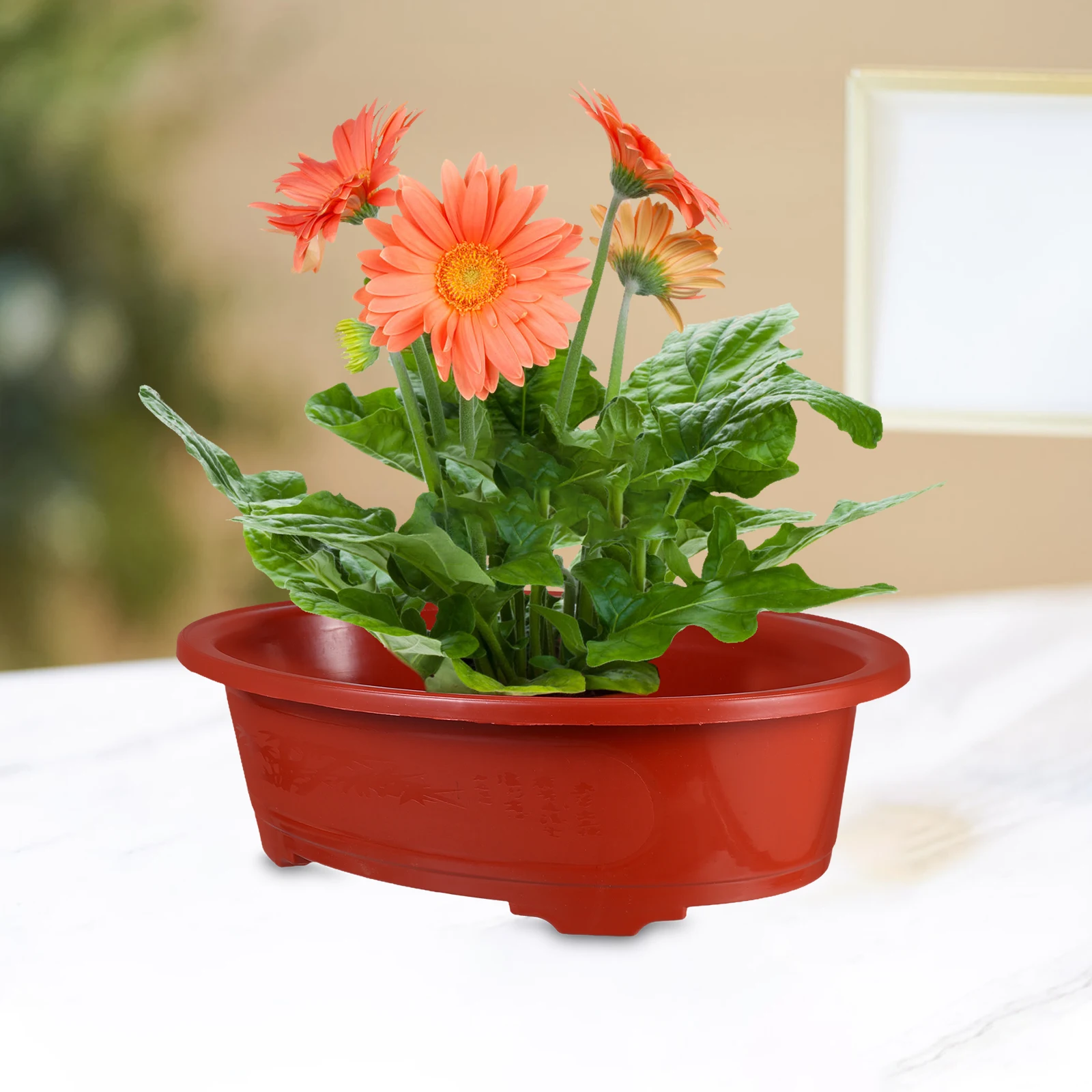 

2pcs Large Oval Plastic Flower Pots Lightweight Garden Planters Decorative Balcony Indoor Succulents Bonsai Nursery Pots