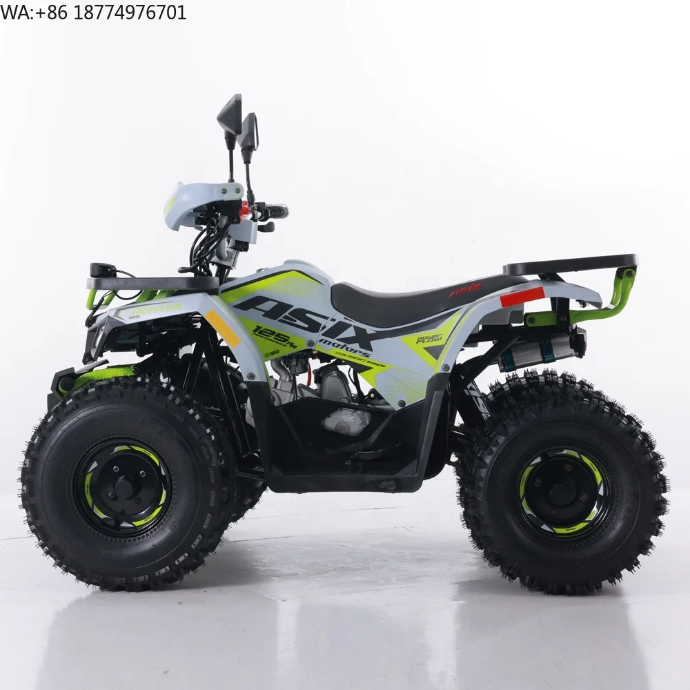 Tao Motor 2024 New ATV 125 Cheap Chinese Automatic Chain Drive Farm ATV 125cc ATV