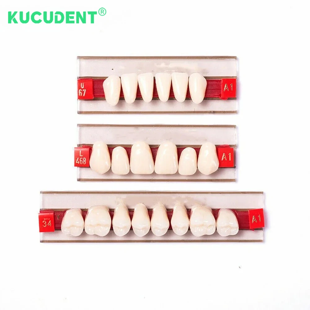 Рисунок 6 - зубы, верхняя передняя нижняя часть