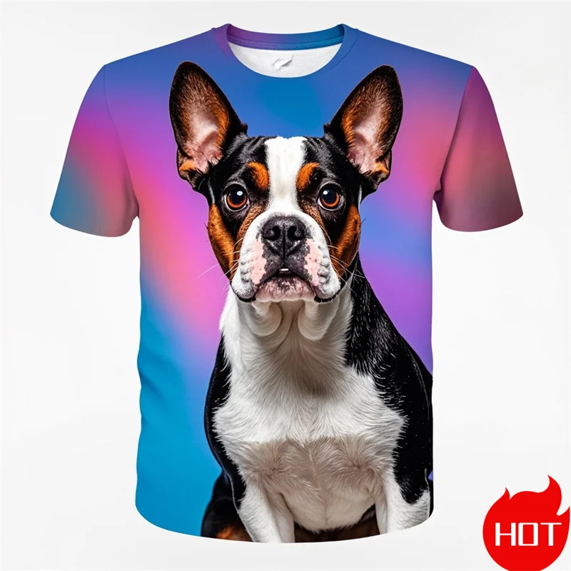 Fashion 3D Cute Doge Boston Terrier Printing T Shirt Kid Funny Streetwear Short Sleeves Unisex Vintage Tee Shirts Mens Clothing