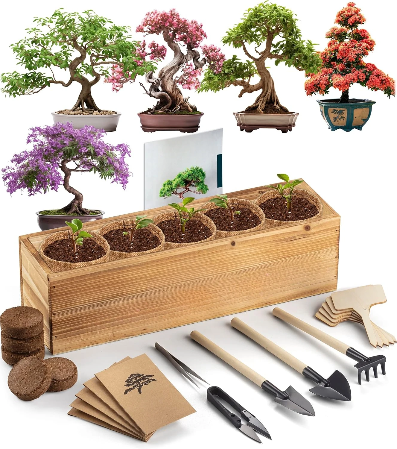 

Complete Indoor Bonsai Starter Kit for Growing Bonsai Plants with Tools & Planters – Gardening Gifts for Women & Men