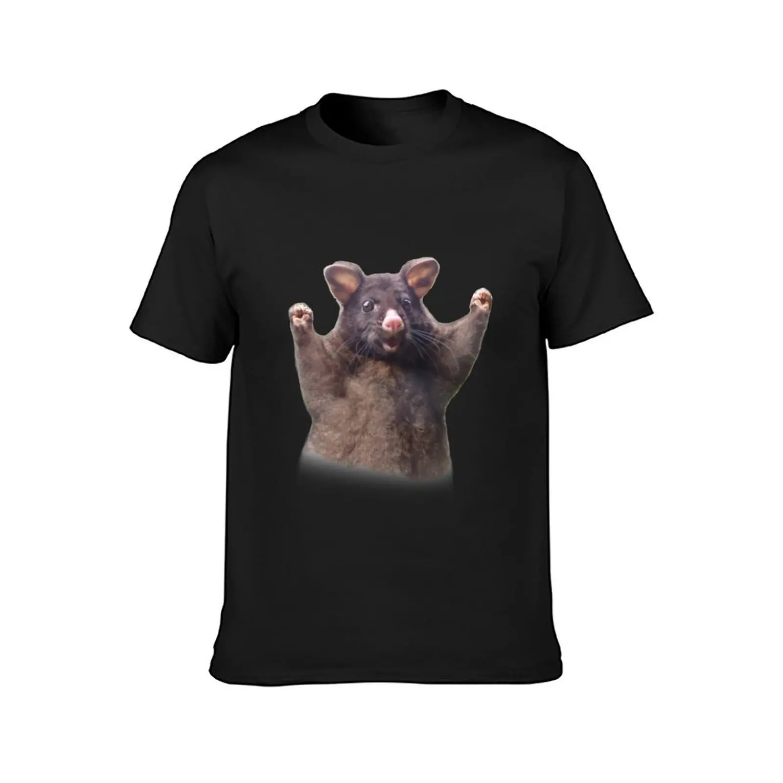 wahoo rat - positive possum meme T-Shirt sweat heavyweights vintage men graphic t shirts