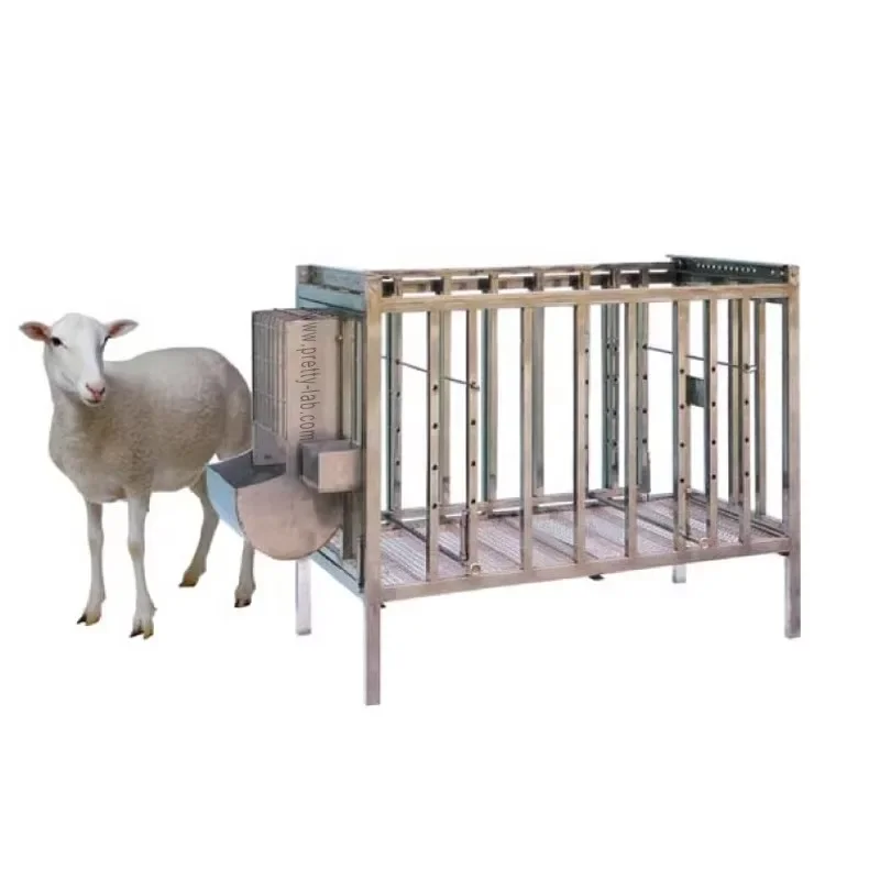 

Stainless Steel Thickened Medium and Large Pet Dog Cage Stainless Steel Cage-sheep