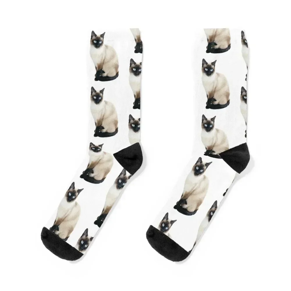 Siamese Cat Portrait Socks luxury new in's man anime Mens Socks Women's