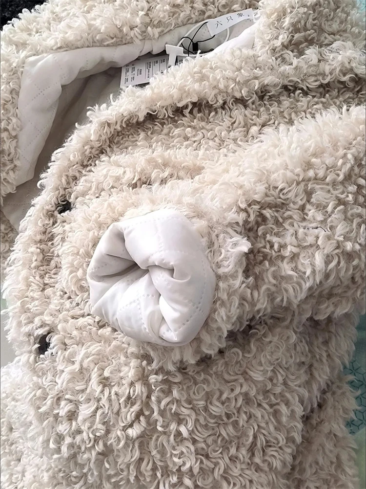 Addensare lana di agnello cappotti in pelliccia sintetica di alta qualità colletto alla coreana Teddy Chaquetas giacche invernali calde di lusso donna cappotto peloso coreano