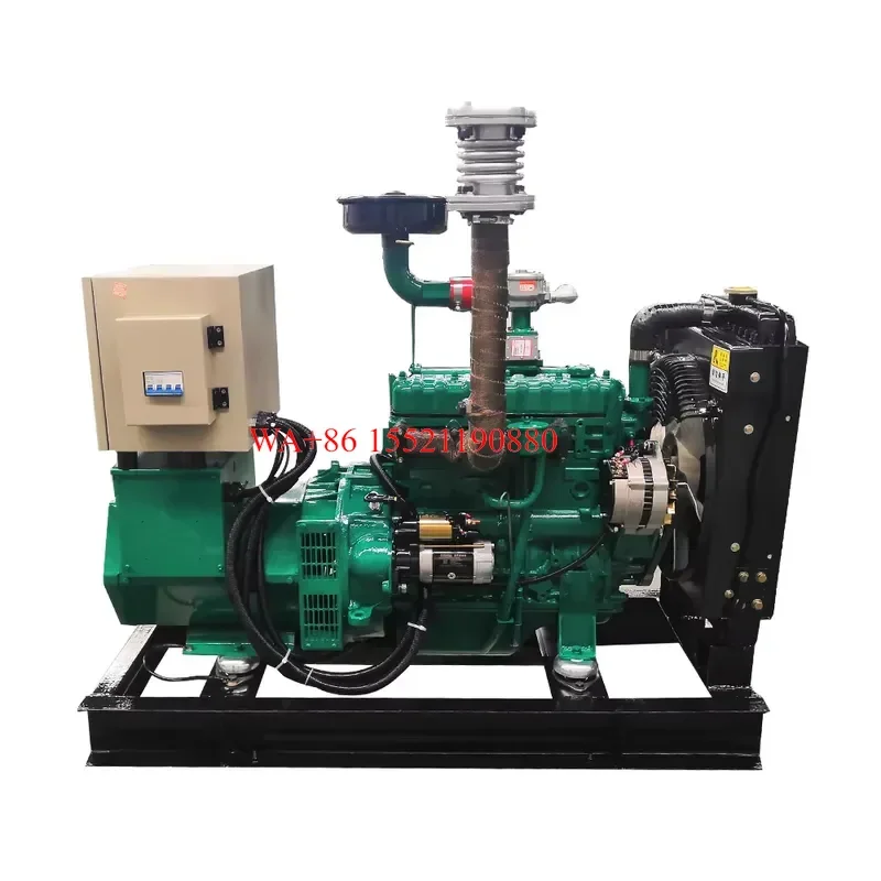 WMWMNU for 15kW 18.75kva Small Biomass Power wood Chips Generator