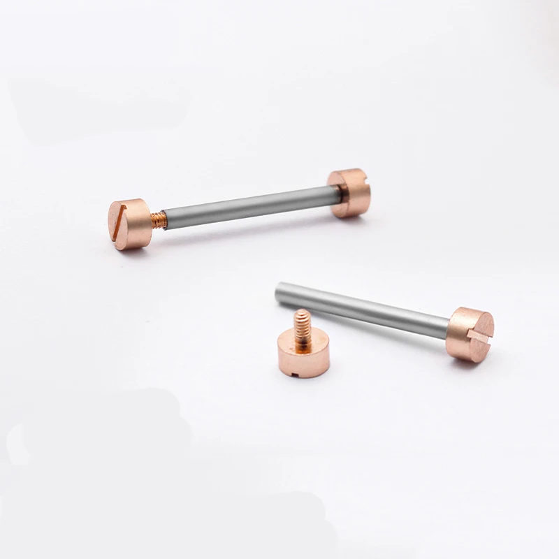 18mm 20mm 22mm Watch Screw Tube Rod Rose Gold Silver Screw-In Watch Lug Stem Link Kit for Leather Watchband Strap Spring Bar