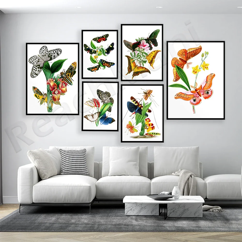 Butterfly Insect Retro Poster Papillons Print Canvas Painting Biology Educational Wall Art Picture Modern Study Room Decoration