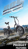 R8s Electric Bicycle 800W 48V 20AH Mountain Mtb Foldable Adult Fold Ebike Bike Electr Bicycl