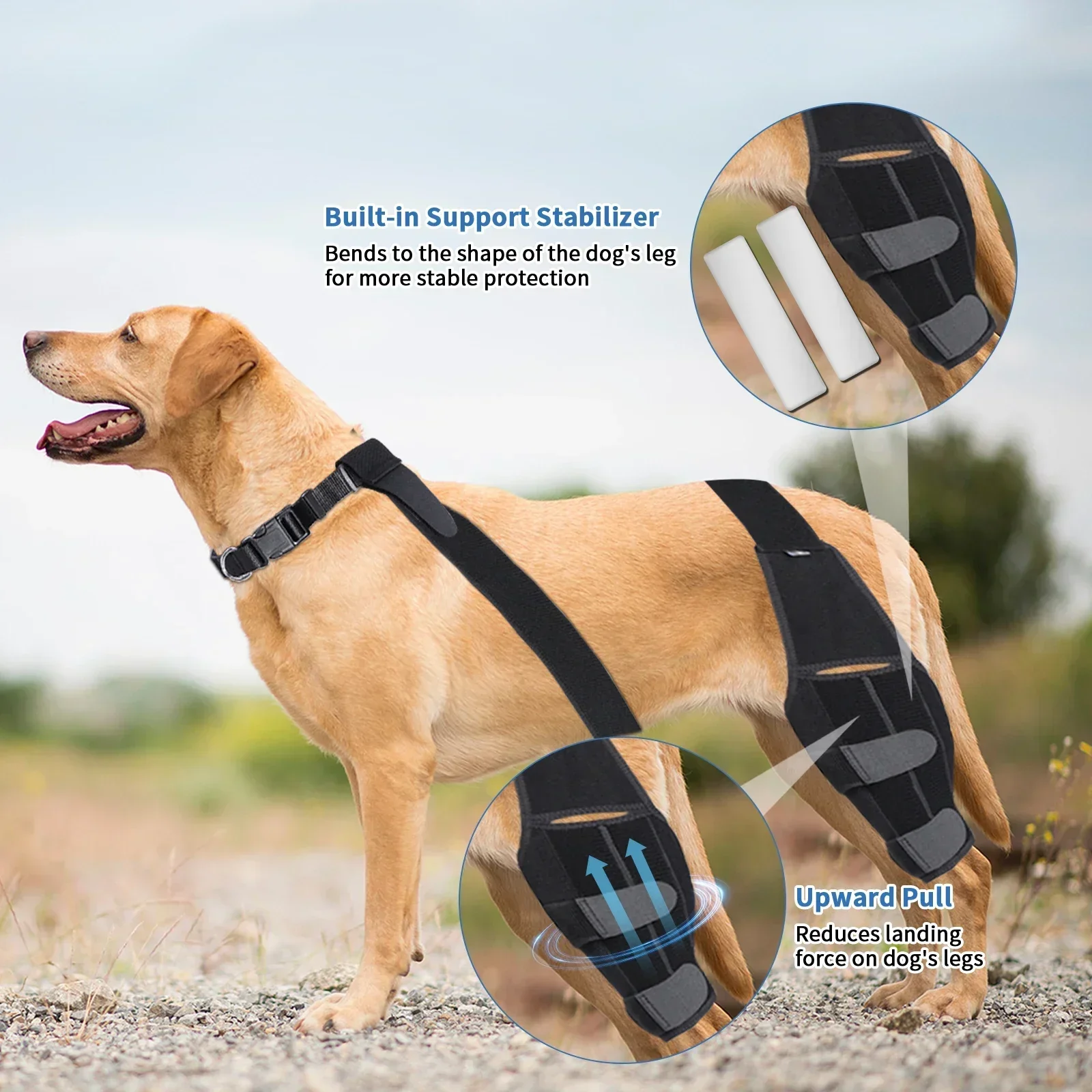 Supports Support Straps Adjustable Pads Dog Accessories Protection Leg Brace Joint Pet Knee Wrap Dogs For