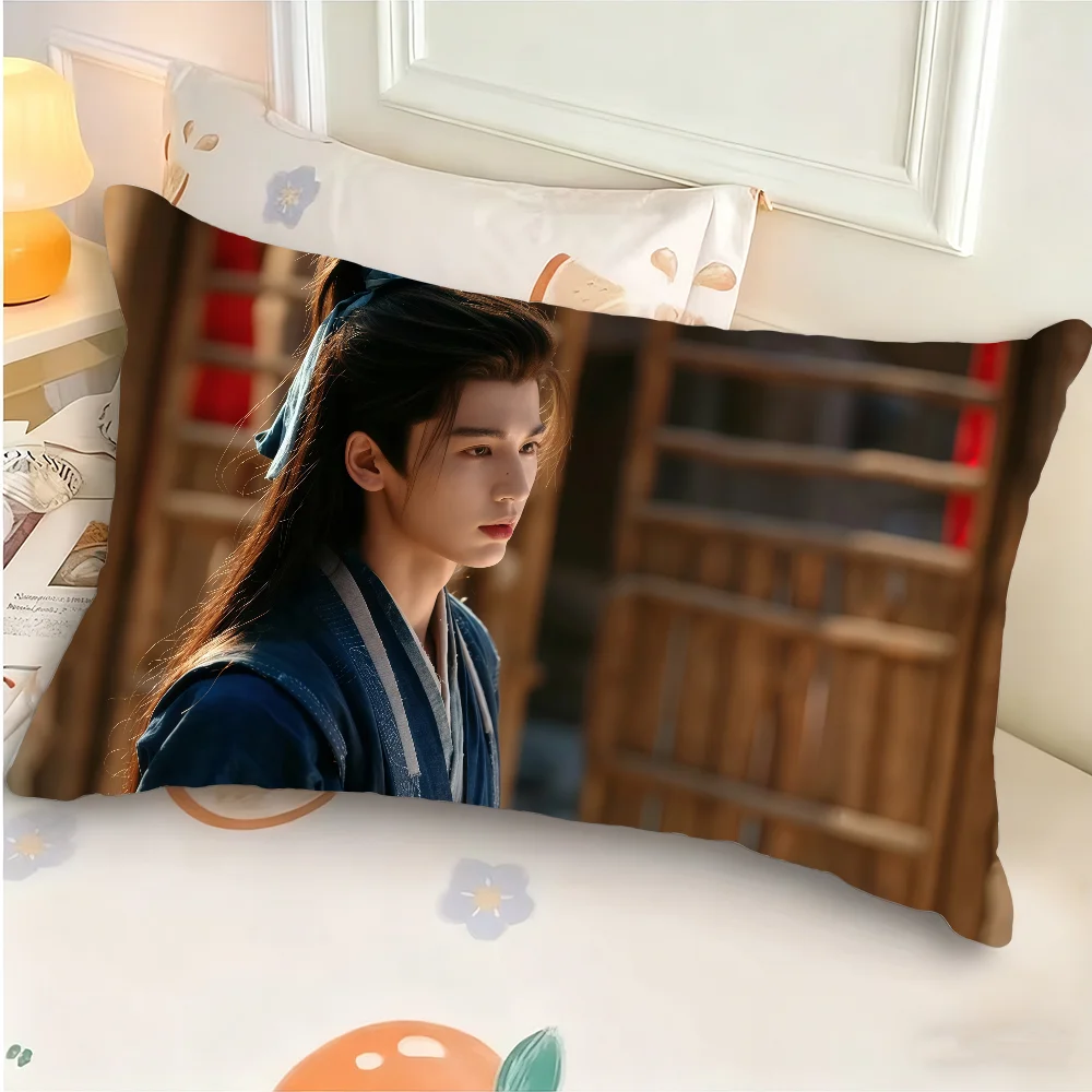 Zhang Linghe TV Pursuit Of Jade Xie Zheng Cushion Cover Rectangle Pillow Case Printing Bedside Room Home Decoration Pillowcase