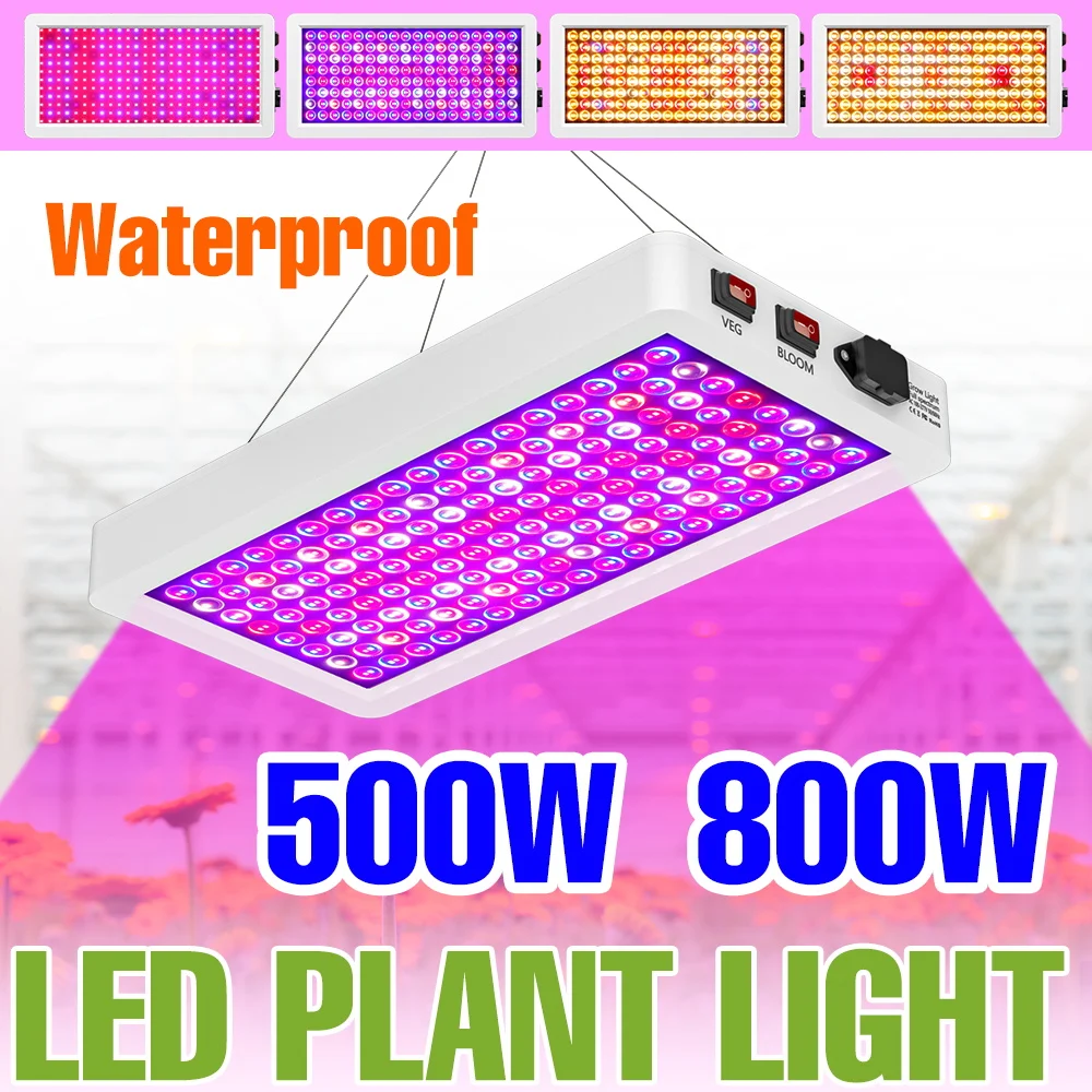 

800 Вт светодиодные лампы полного спектра для выращивания растений, светодиодные лампы для выращивания растений, тепличная палатка, лампа для выращивания растений, лампа для рассады овощей, освещение для заполнения фруктов