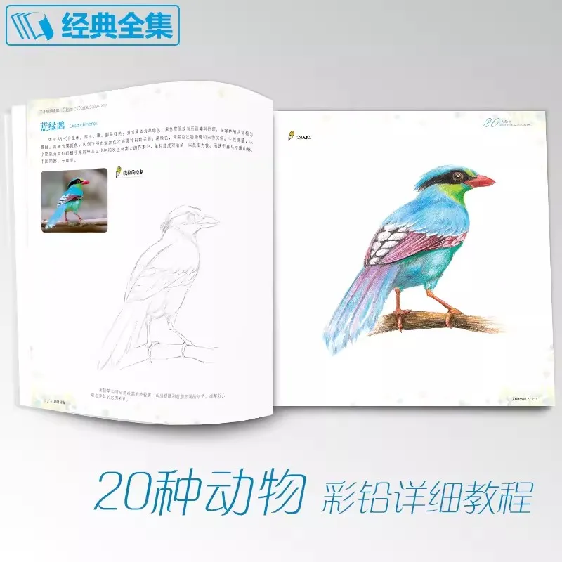 Imagem -04 - Animal Sketch Drawing Book para Iniciantes Livro de Colorir Lápis Entrada Linha Chinesa Conhecimento Básico Tutorial Novo