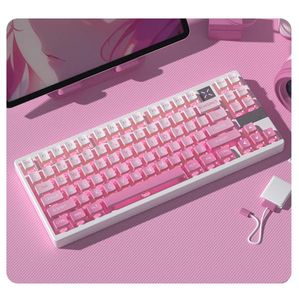 PBT Side-Printed Shine-Through Keycaps Four-Sided Translucent Cherry Profile Kawaii Pastel Pink Blue for Mechanical Keyboard