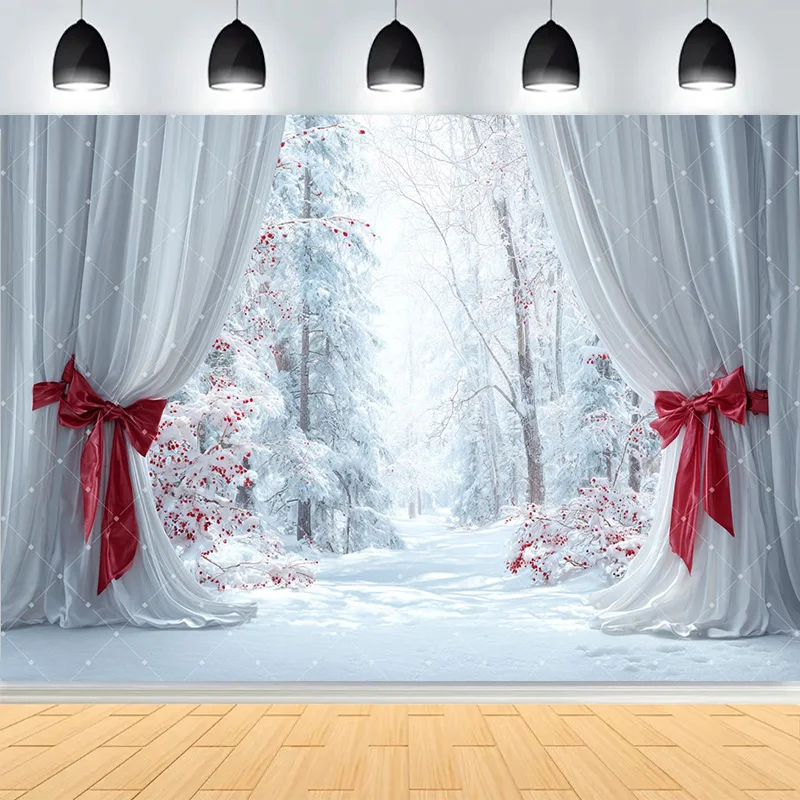 Winter Merry Christmas Festive Windows Photography Background Snowflakes Birthday Party New Year Photo Studio Backdrops CD-9